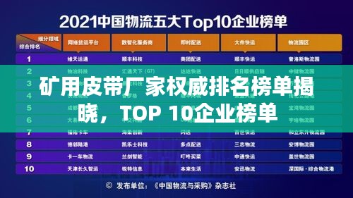 矿用皮带厂家权威排名榜单揭晓，TOP 10企业榜单