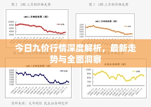 今日九价行情深度解析，最新走势与全面洞察