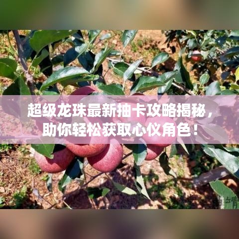 超级龙珠最新抽卡攻略揭秘，助你轻松获取心仪角色！