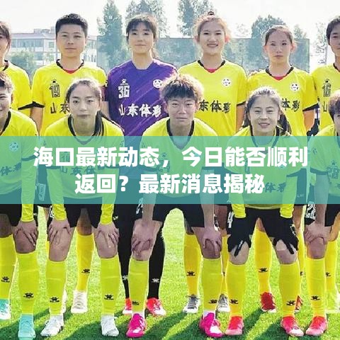 海口最新动态，今日能否顺利返回？最新消息揭秘