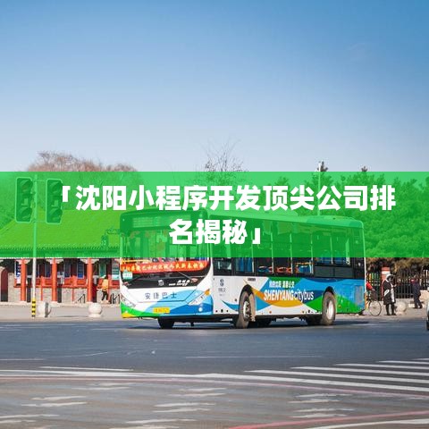 「沈阳小程序开发顶尖公司排名揭秘」
