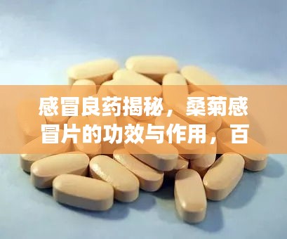 感冒良药揭秘，桑菊感冒片的功效与作用，百度权威收录