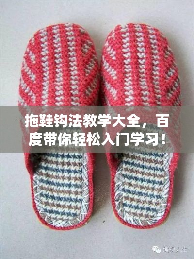纲挈目张 第2页