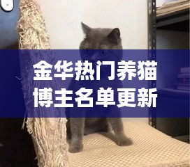 金华热门养猫博主名单更新，快来看看有哪些新晋猫奴大咖！