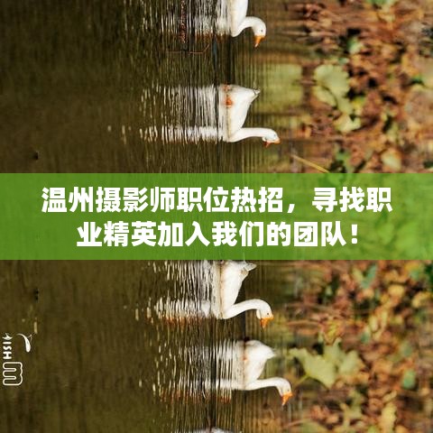 温州摄影师职位热招，寻找职业精英加入我们的团队！
