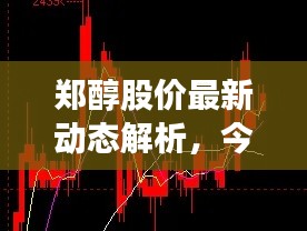郑醇股价最新动态解析，今日走势一览