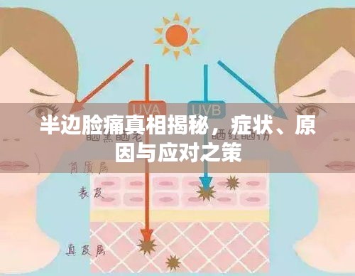 半边脸痛真相揭秘，症状、原因与应对之策