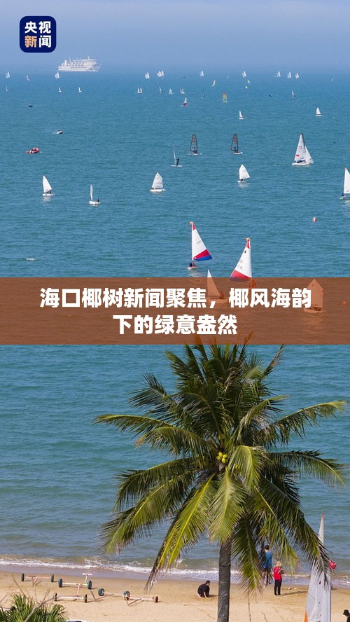 海口椰树新闻聚焦，椰风海韵下的绿意盎然