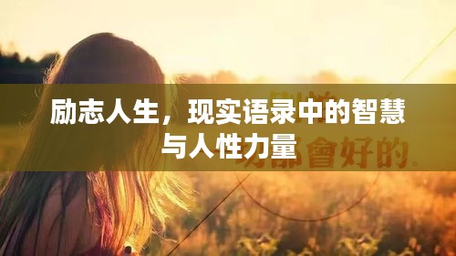 售后流程 第61页