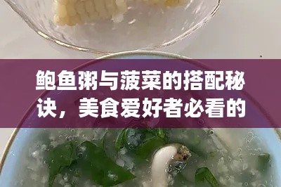 鲍鱼粥与菠菜的搭配秘诀，美食爱好者必看的搭配之道！