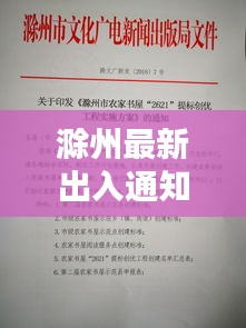 滁州最新出入通知公告，最新要求与规定汇总