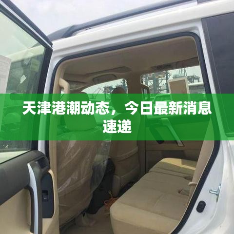 天津港潮动态，今日最新消息速递