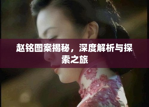 赵铭图案揭秘，深度解析与探索之旅