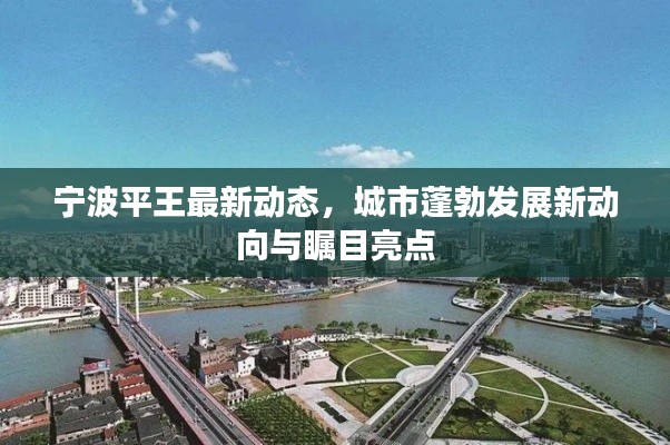 宁波平王最新动态，城市蓬勃发展新动向与瞩目亮点