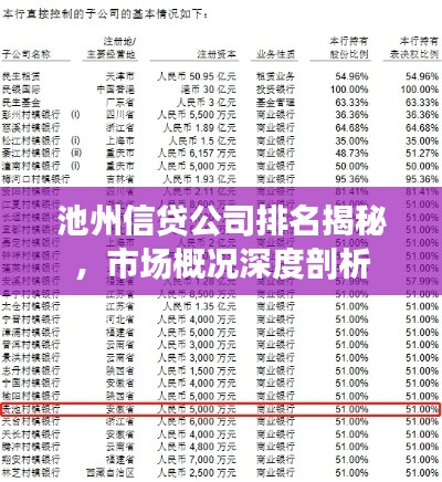 池州信贷公司排名揭秘，市场概况深度剖析