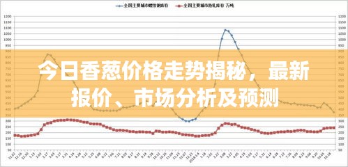 今日香葱价格走势揭秘，最新报价、市场分析及预测