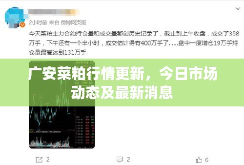 广安菜粕行情更新，今日市场动态及最新消息