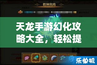 天龙手游幻化攻略大全，轻松提升角色实力，最新技巧掌握！
