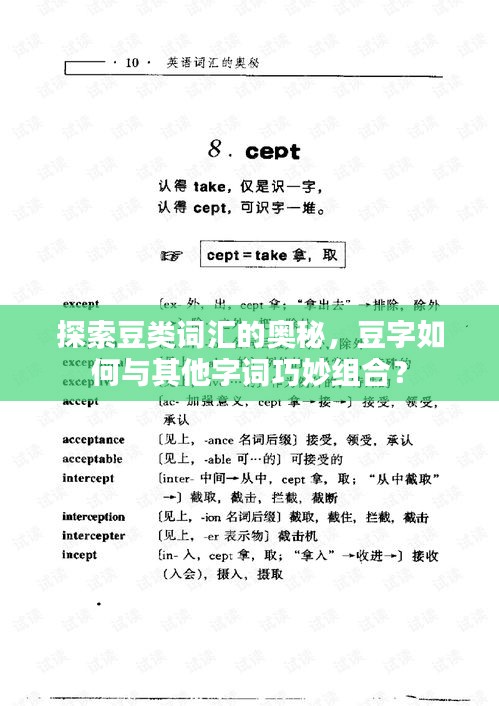 探索豆类词汇的奥秘，豆字如何与其他字词巧妙组合？