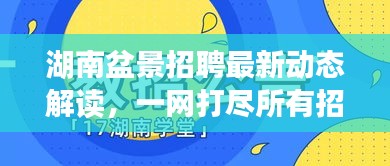 湖南盆景招聘最新动态解读，一网打尽所有招聘信息与资讯
