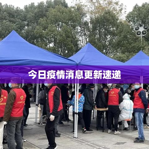 今日疫情消息更新速递