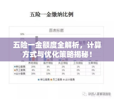五险一金额度全解析，计算方式与优化策略揭秘！