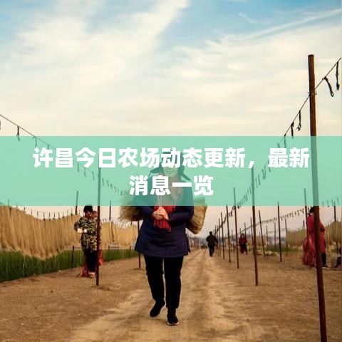 许昌今日农场动态更新，最新消息一览