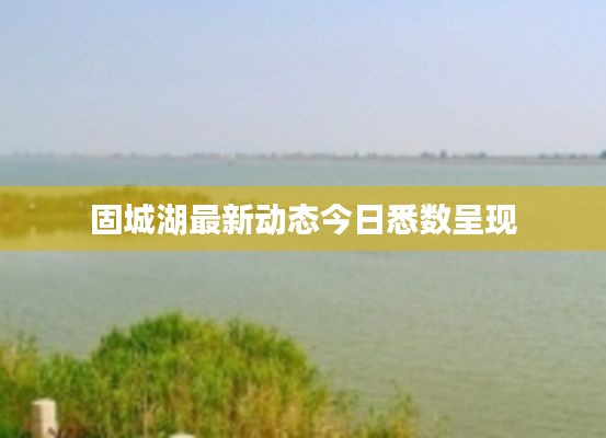 固城湖最新动态今日悉数呈现
