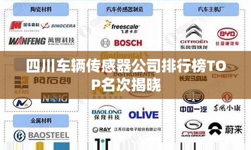 四川车辆传感器公司排行榜TOP名次揭晓