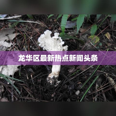 池鱼笼鸟 第2页