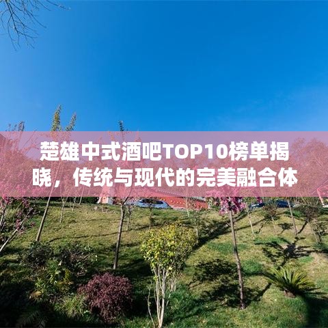 楚雄中式酒吧TOP10榜单揭晓，传统与现代的完美融合体验