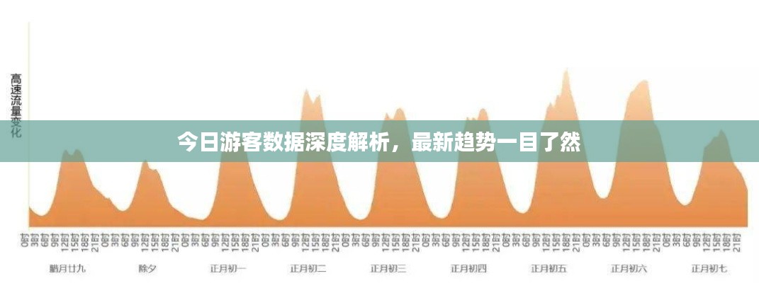 今日游客数据深度解析，最新趋势一目了然