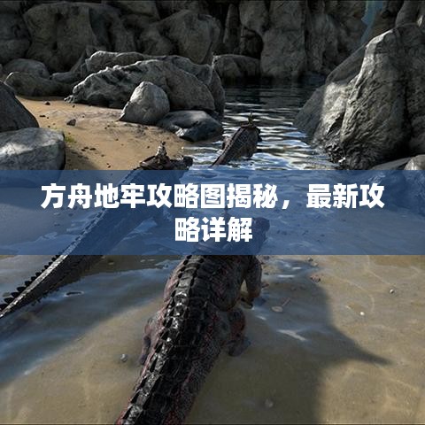 方舟地牢攻略图揭秘，最新攻略详解
