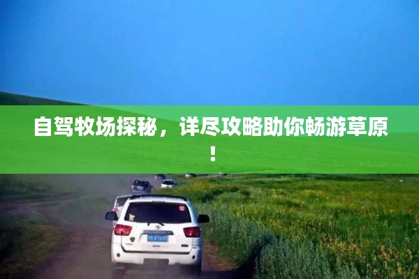 自驾牧场探秘，详尽攻略助你畅游草原！