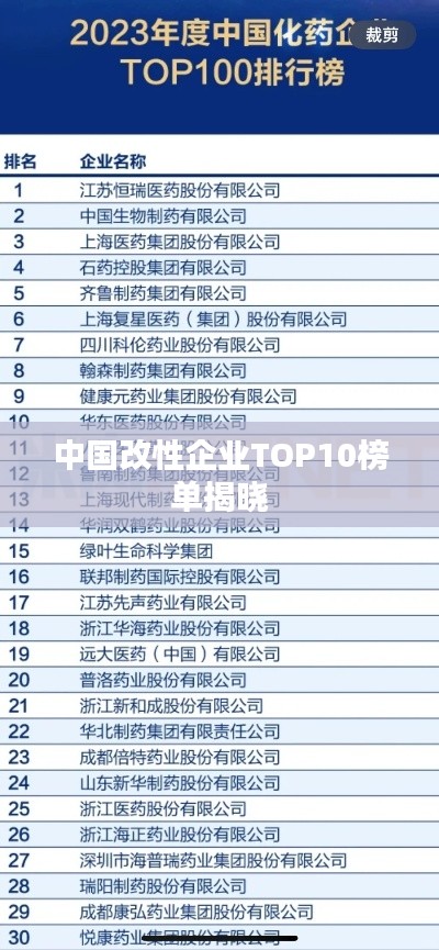 中国改性企业TOP10榜单揭晓