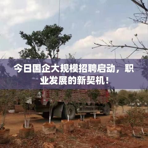 新手上路 第59页