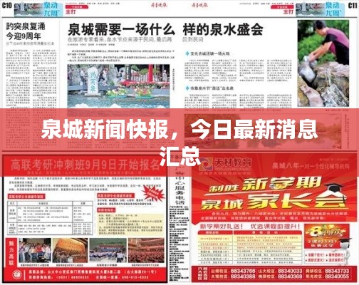 泉城新闻快报，今日最新消息汇总