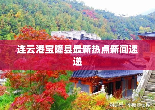 连云港宝隆县最新热点新闻速递