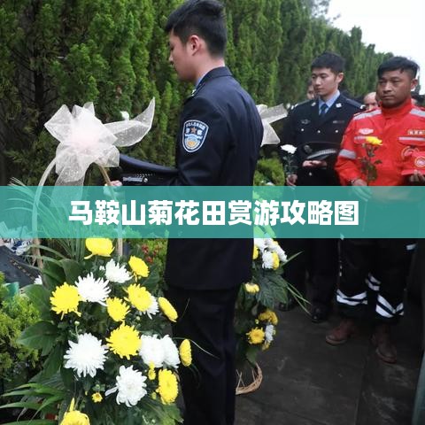 马鞍山菊花田赏游攻略图