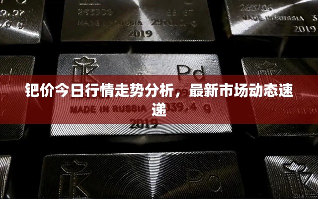 钯价今日行情走势分析，最新市场动态速递