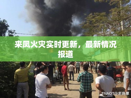 来凤火灾实时更新，最新情况报道