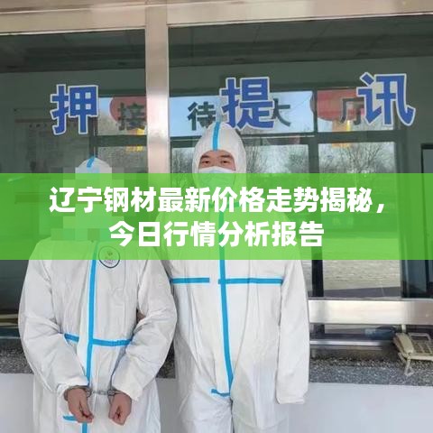 辽宁钢材最新价格走势揭秘，今日行情分析报告