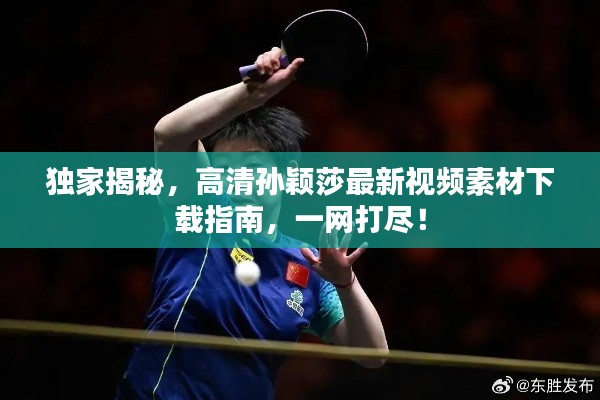 独家揭秘，高清孙颖莎最新视频素材下载指南，一网打尽！