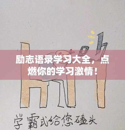 励志语录学习大全，点燃你的学习激情！