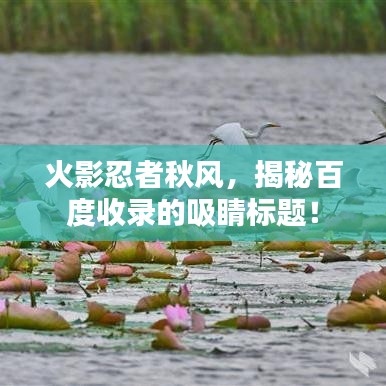 火影忍者秋风，揭秘百度收录的吸睛标题！