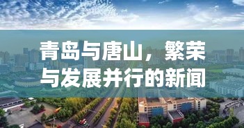 新手上路 第58页