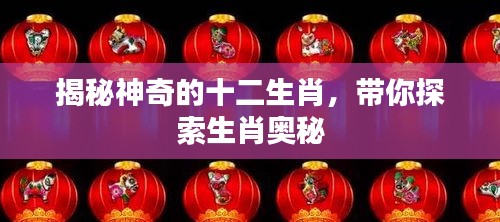 揭秘神奇的十二生肖，带你探索生肖奥秘