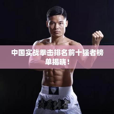 中国实战拳击排名前十强者榜单揭晓！