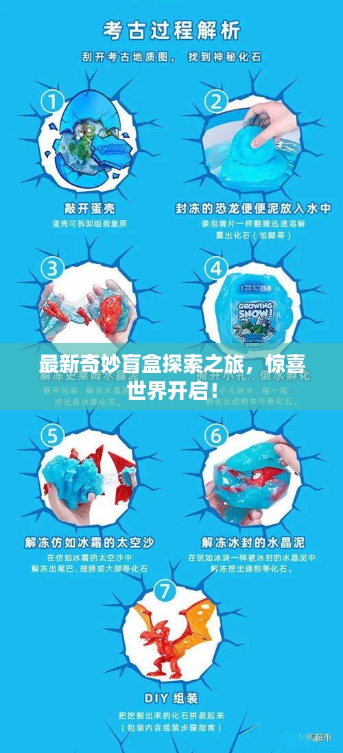 最新奇妙盲盒探索之旅，惊喜世界开启！