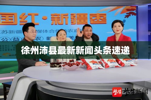 徐州沛县最新新闻头条速递